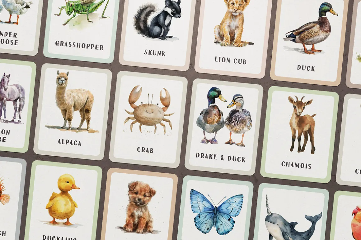 Animals Montessori Cards Bundle