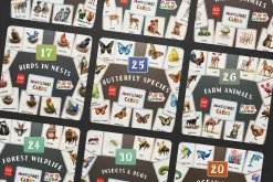 Animals Montessori Cards Bundle