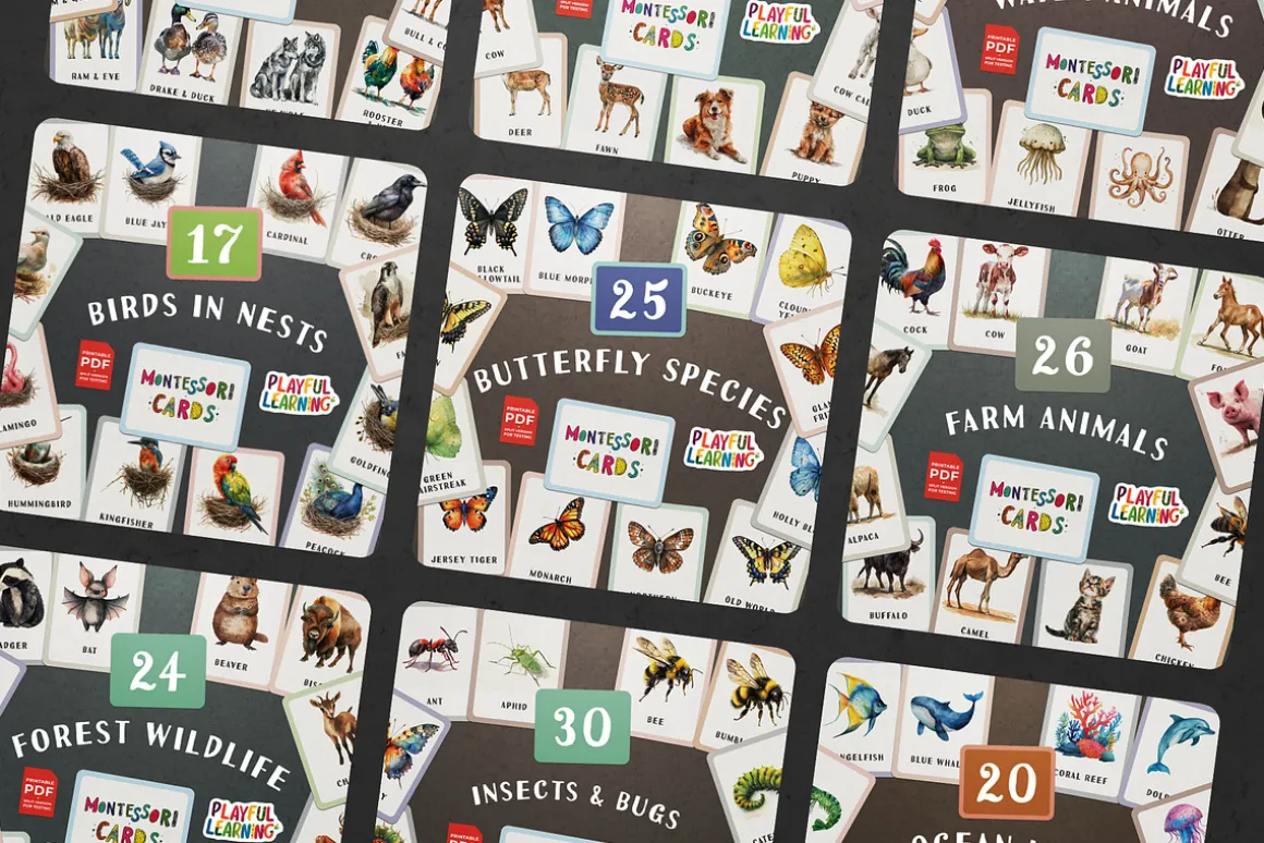 Animals Montessori Cards Bundle