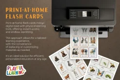 Animals Montessori Cards Bundle