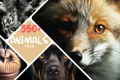 Animals Pack Over 350 UltraHD images