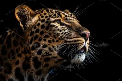 Animals Pack Over 350 UltraHD images
