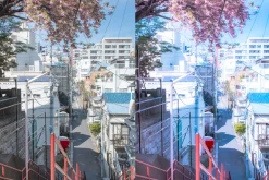 ANIME LOVE - Lightroom Presets