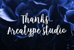 Anindita Script