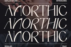 Anorthic - Modern Serif Font
