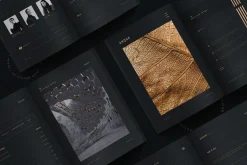 ANQUA | Architecture Proposal
