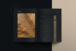 ANQUA | Architecture Proposal