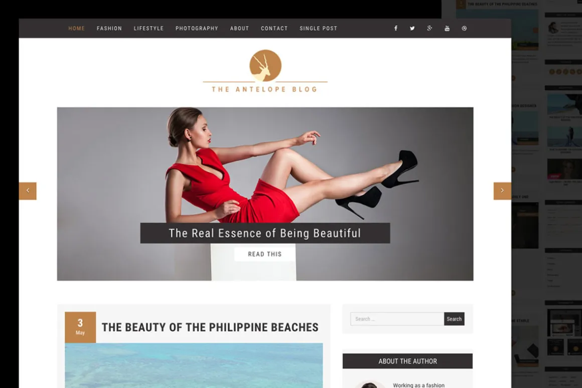 Antelope Minimal WordPress Blog