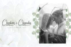 Anthony Script Font Duo