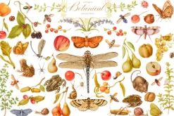 Antique Botanical Floral Collection
