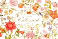 Antique Botanical Floral Collection
