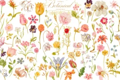 Antique Botanical Floral Collection