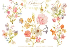 Antique Botanical Floral Collection