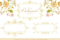 Antique Botanical Floral Collection