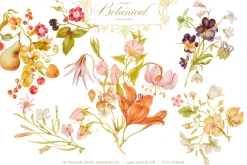 Antique Botanical Floral Collection