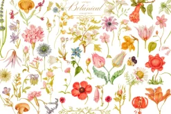 Antique Botanical Floral Collection