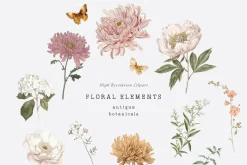 ANTIQUE BOTANICALS Vintage Flowers