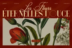 Anzelie – Elegant Stylish Serif
