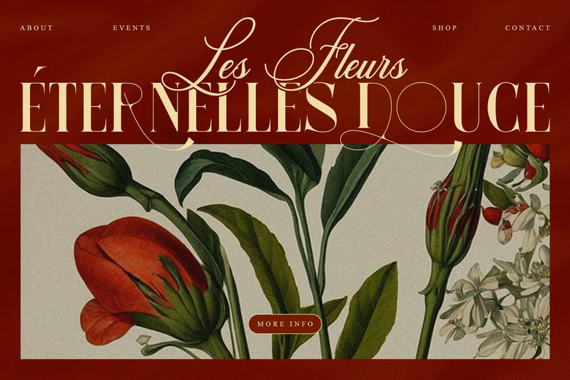 Anzelie – Elegant Stylish Serif