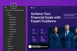 Apexs - Financial Consultan