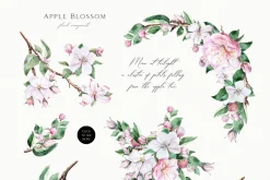 Apple Blossom