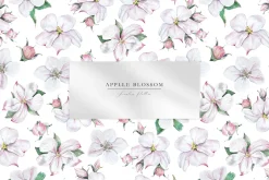 Apple Blossom