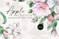 Apple Blossom