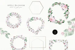 Apple Blossom