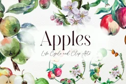 Apple Life Cycle and Clip Arts