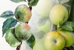 Apple Life Cycle and Clip Arts