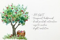 Apple Life Cycle and Clip Arts