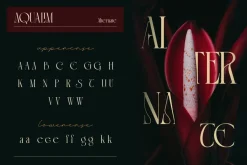 Aqualim Signature - Duo Font