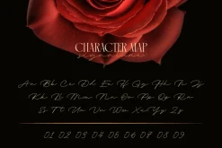 Aqualim Signature - Duo Font