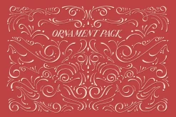 Arastin Font + Extras