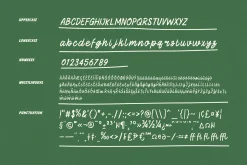 Archie Script Font