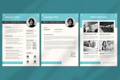 Architect CV Resume