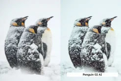 20 Arctic Lightroom Presets LUTs