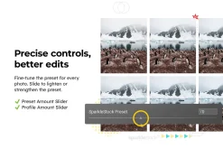 20 Arctic Lightroom Presets LUTs