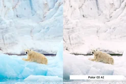 20 Arctic Lightroom Presets LUTs