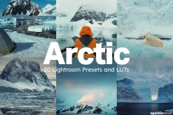 20 Arctic Lightroom Presets LUTs