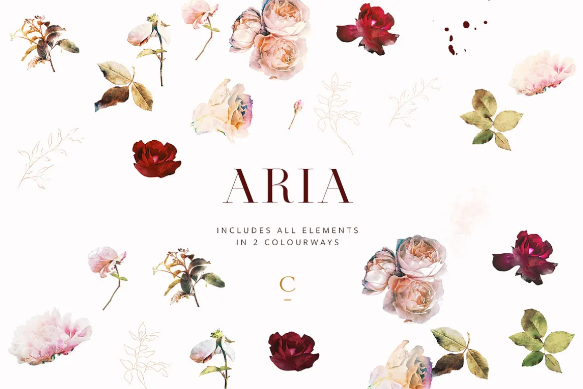 Aria - Romantic Watercolor Florals