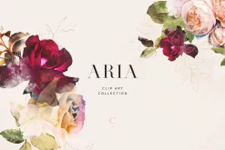 Aria - Romantic Watercolor Florals
