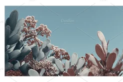 Arid Co · Desert Plantscape