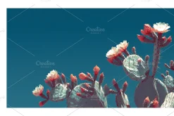 Arid Co · Desert Plantscape