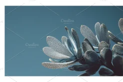 Arid Co · Desert Plantscape