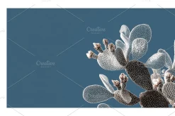 Arid Co · Desert Plantscape