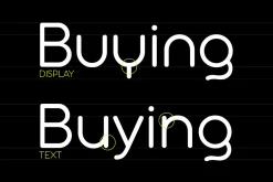 Aristotelica Pro - 43 fonts