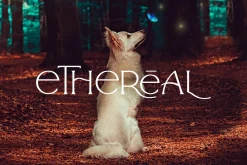 Arrogant Font