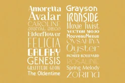 Art Deco Font Bundle (21 Fonts!)