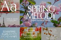 Art Deco Font Bundle (21 Fonts!)